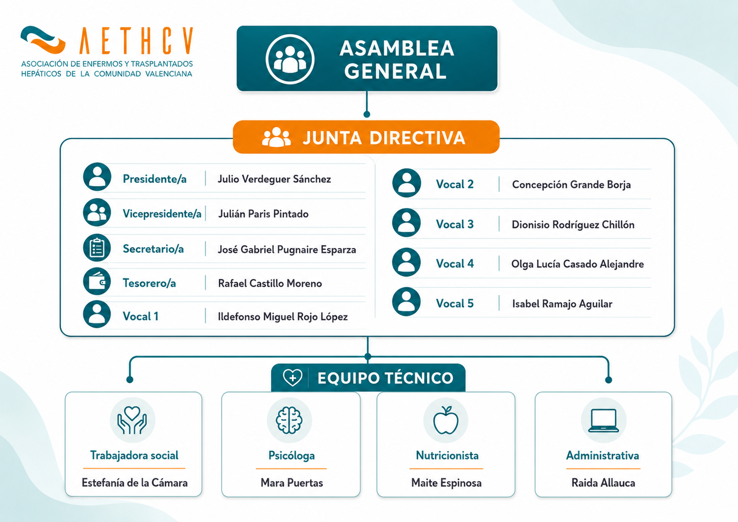 Organigrama de AETHCV: Asamblea General, Junta Directiva y equipo técnico