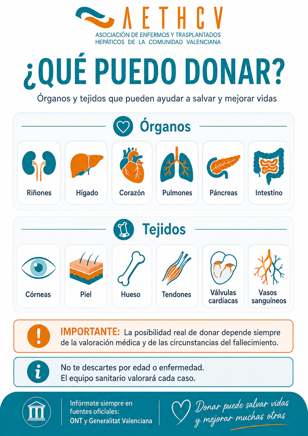 Qué puedo donar: órganos y tejidos que pueden trasplantarse